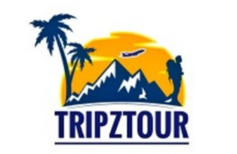 Tripztour is a travel company, and we offer them SEO services through Bombay Marketer. This helps them rank for numerous keywords
