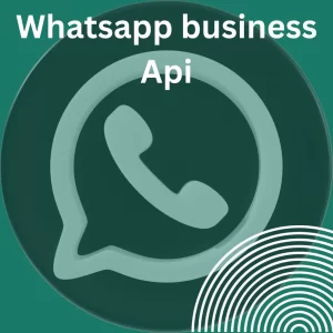 Showing whatsapp business Api for bulk messages sending 