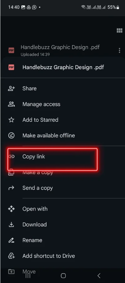 In the red colur box showing that You can copy your file's url from this icon